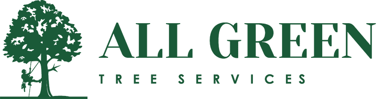 Tree Work SEO Logo